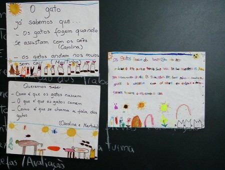 Os nossos projetos