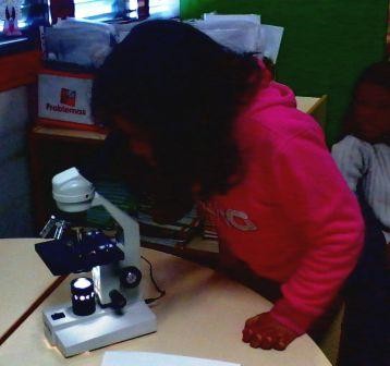 Cientistas a valer